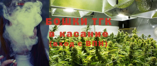 мескалин Арсеньев